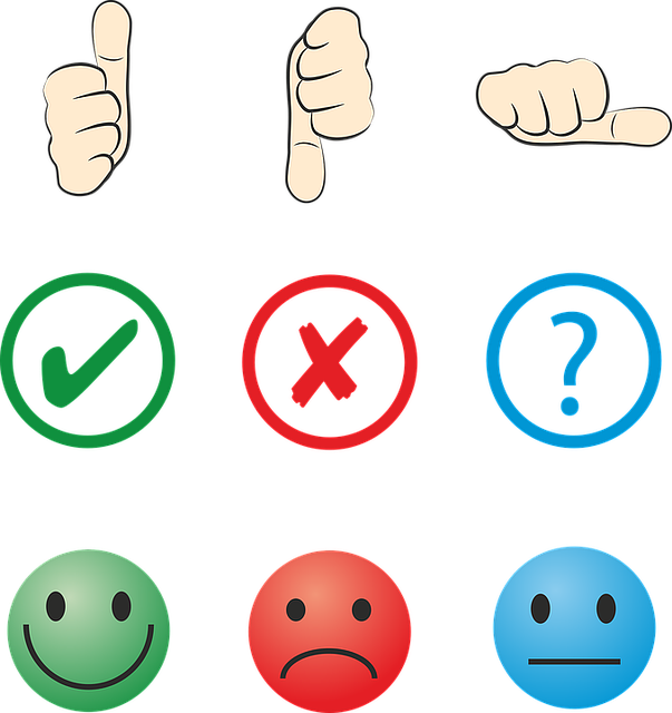Opinion essays